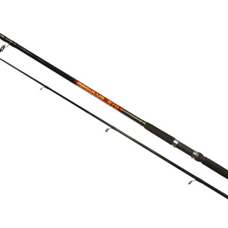 SPININNG ROD ARNO REGULUS